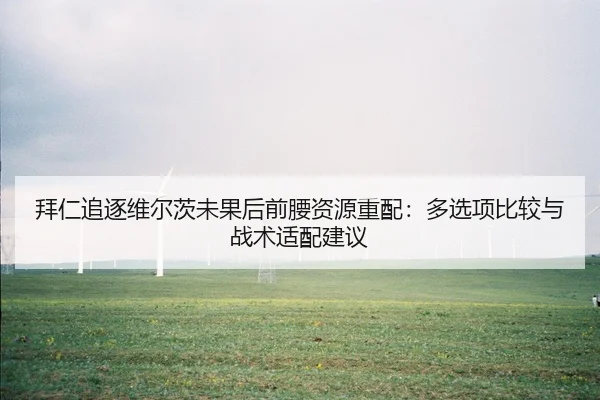 拜仁追逐维尔茨未果后前腰资源重配：多选项比较与战术适配建议