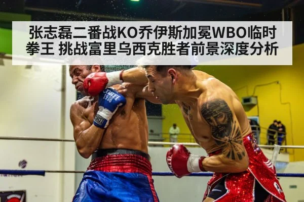 张志磊二番战KO乔伊斯加冕WBO临时拳王 挑战富里乌西克胜者前景深度分析